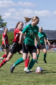 Bild 165 - F SG NieBar - IF Stjernen Flensborg : Ergebnis: 2:0